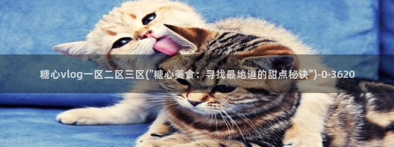 破解版糖心vlog下载