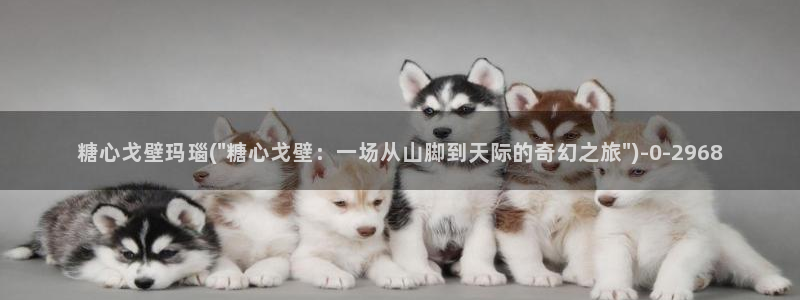 糖心视频vlog原神