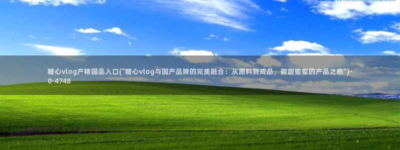 心糖vlog