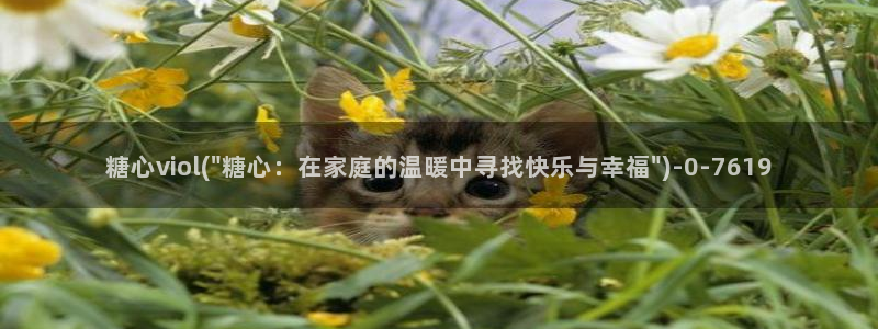 糖心vlog轻量版下载：糖心viol(\