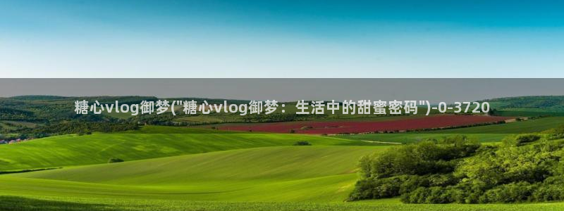 糖心vlog视频免费观看