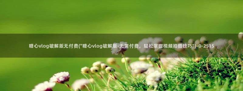 糖心vlog破解版app
