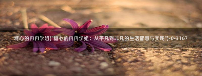 糖vlog