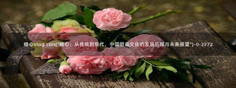 糖心vlog在线网站